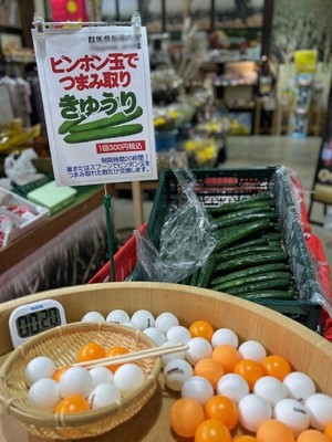 ピンポン玉でつまみ取り・群馬県産夏野菜(きゅうり・茄子・トマト他)