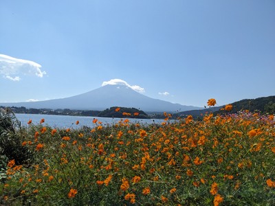 (大石公園)