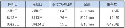 令和5年(2023年)10月18日時点の計測結果