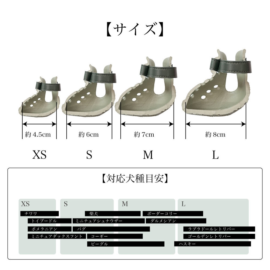 サイズ