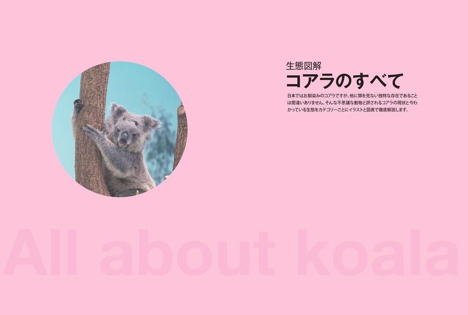 コアラのすべて
