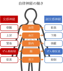 季節の変わり目は、便秘に要注意！ 腸内細菌が働く“オフィス”を綺麗に　 「大腸劣化」の悪影響に関する 小林 暁子先生監修の新着コラムを公開