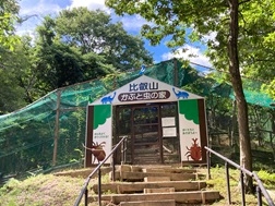 かぶと虫の家入口