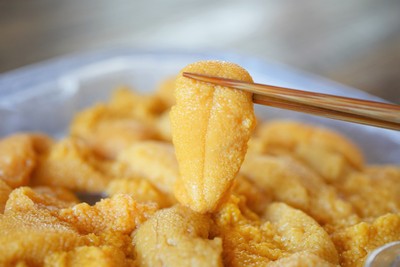 ※写真はイメージです