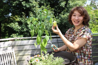 POTAGESTで育てた野菜の収穫(深町貴子氏)