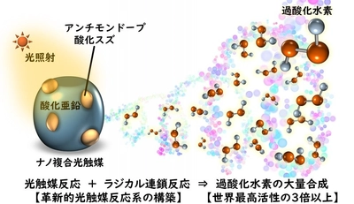 光の利用効率が約500％となる革新的な光触媒反応で過酸化水素を合成　太陽光エネルギーを用いた物質合成への応用に期待