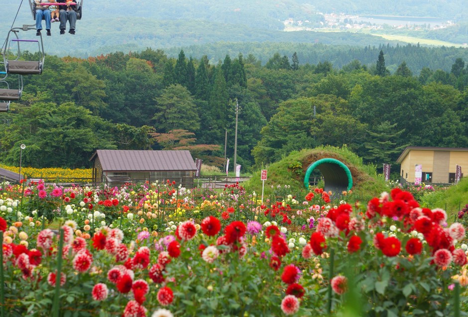 パノラマリフトの下り線では野尻湖を眺めることができます。
