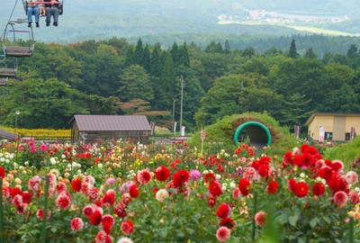パノラマリフトの下り線では野尻湖を眺めることができます。