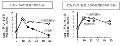 （図） In vivoにおけるGalRhaとビフィズス菌によるディフィシル菌の生育抑制