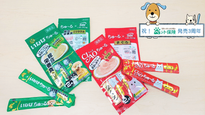 賞品イメージ