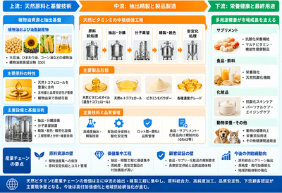 図. 天然ビタミンEの産業チェーン・サプライチェーン分析