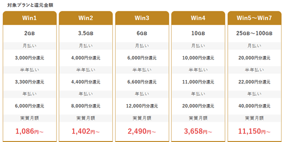 ※リモート接続するユーザーについては、その人数分の「リモートデスクトップサービス（RDS）ライセンス　月額1,320円」が必要となります（専らサーバー管理目的の場合は除きます）。