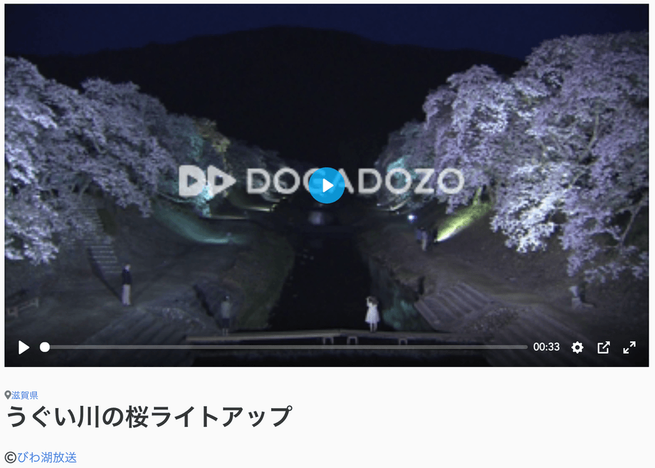 夜景の動画