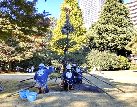 過去開催の様子（雪吊り）