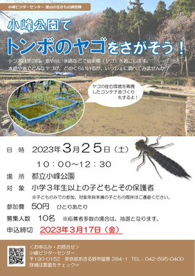 チラシ(表)