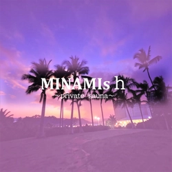 MINAMIs h