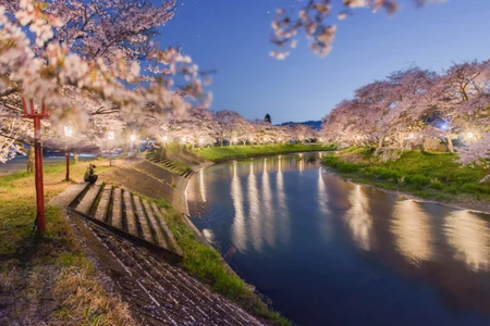  【奈良の夜桜】川面に映る“逆さ桜”の絶景！ 約600mの桜並木が幻想的に輝く『宇陀川桜並木ライトアップ』開催