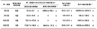 表1 菌寄生菌を処理したメロンうどんこ病菌(KMP-6N)の単一菌叢内で形成された正常な分生子柄数と単一菌叢から生涯放出された胞子数の測定 1)正常な分生子柄の数は、菌寄生菌を処理し、胞子放出が停止した後に測定された。 2)静電気胞子回収器で回収された全胞子数を示した。 異なるアルファベットは有意差を示した(p < 0.05、チューキー法)。