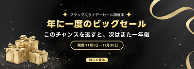 ブラックフライデーセール月間
