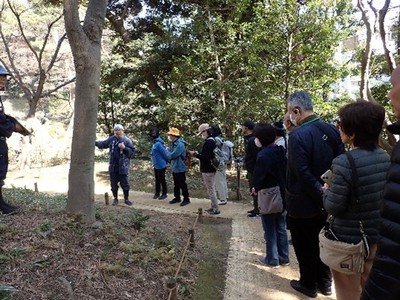 庭さんぽ(昨年の様子)
