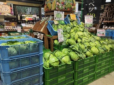 旬のお野菜をお得にゲット！