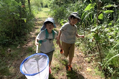 昆虫採集の旅