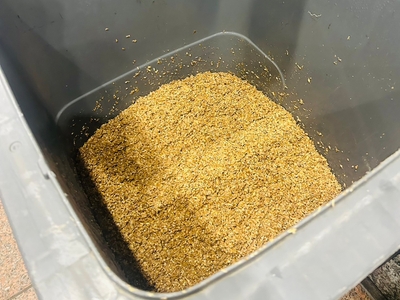 ビール製造時に発生するモルト粕(2)