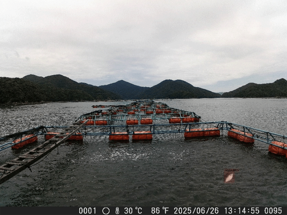 <「LA-Eye」で検知した魚のへい死>