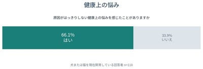 図2｜原因がはっきりしない健康上の悩み(犬猫飼育者 n=118)