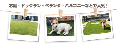 人工芝の使用例