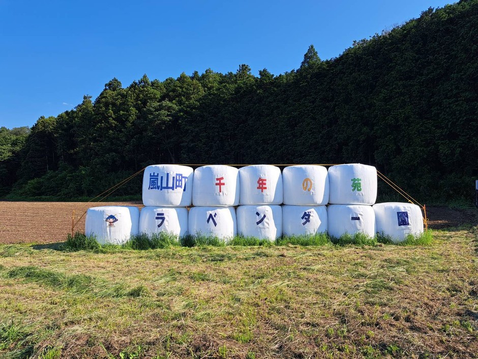 牧草ロールがお出迎え