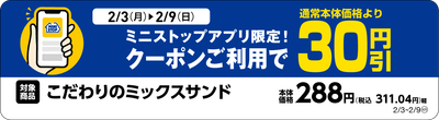 単品販促物一例※4(画像はイメージです。)