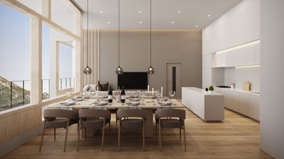Penthouse 頂 -Itadaki-