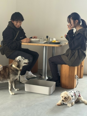 raf 店内