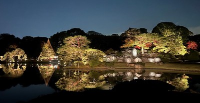 「庭紅葉の六義園」ライトアップ（昨年の様子）