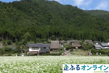 京都府南丹市のまちづくりを企業の力で支援！企業版ふるさと納税「企ふるオンライン」で寄附受付を開始