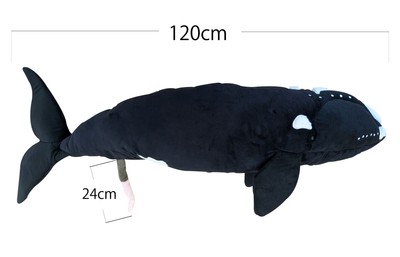 セミクジラBIGぬいぐるみ