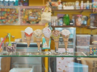 Plenty's Icecream