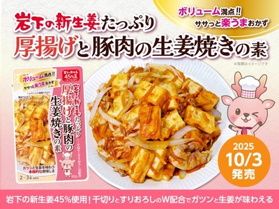 新商品「岩下の新生姜たっぷり 厚揚げと豚肉の生姜焼きの素」
