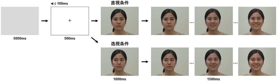 図1:直視条件と逸視条件