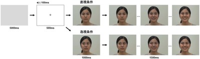 図1:直視条件と逸視条件