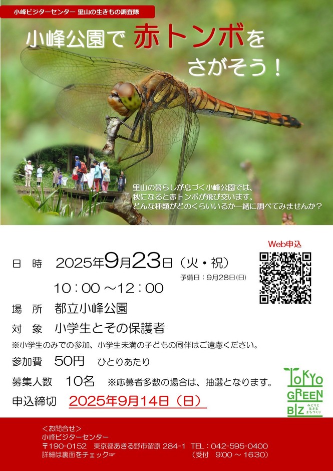 チラシ表