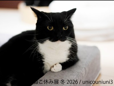 展示作品：unicouniuni3
