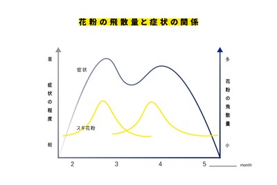 出典：花粉症ナビ、花粉の飛散量と症状の関係