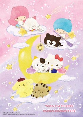 タマ＆フレンズ サンリオキャラクターズ 第3弾 コラボレーションアート(夜空)