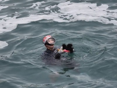 ウニを獲る久慈の海女さん