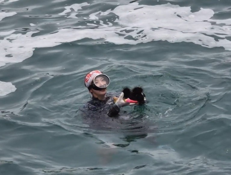 ウニを獲る久慈の海女さん