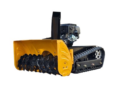 S100