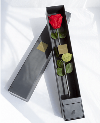 The  One Special Edition 税別￥20,000