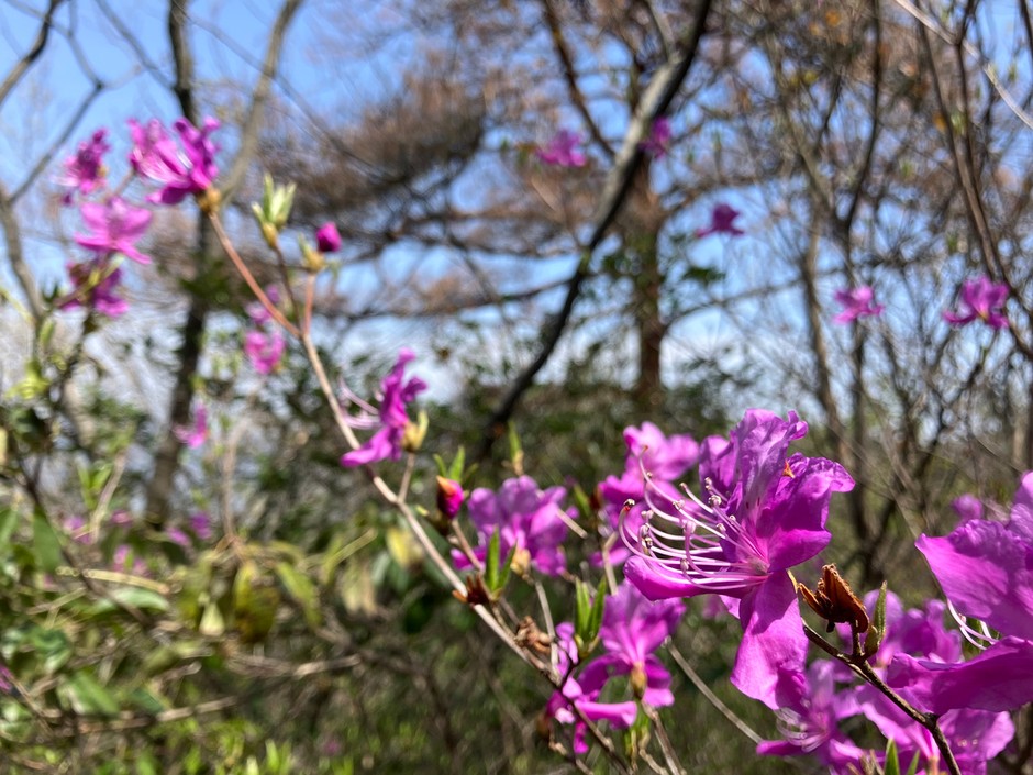 熊山トレイル